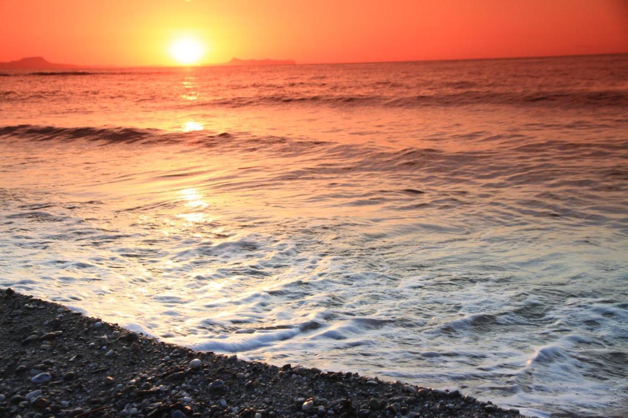 Dedalos Beach Hotel Сфакаки Экстерьер фото