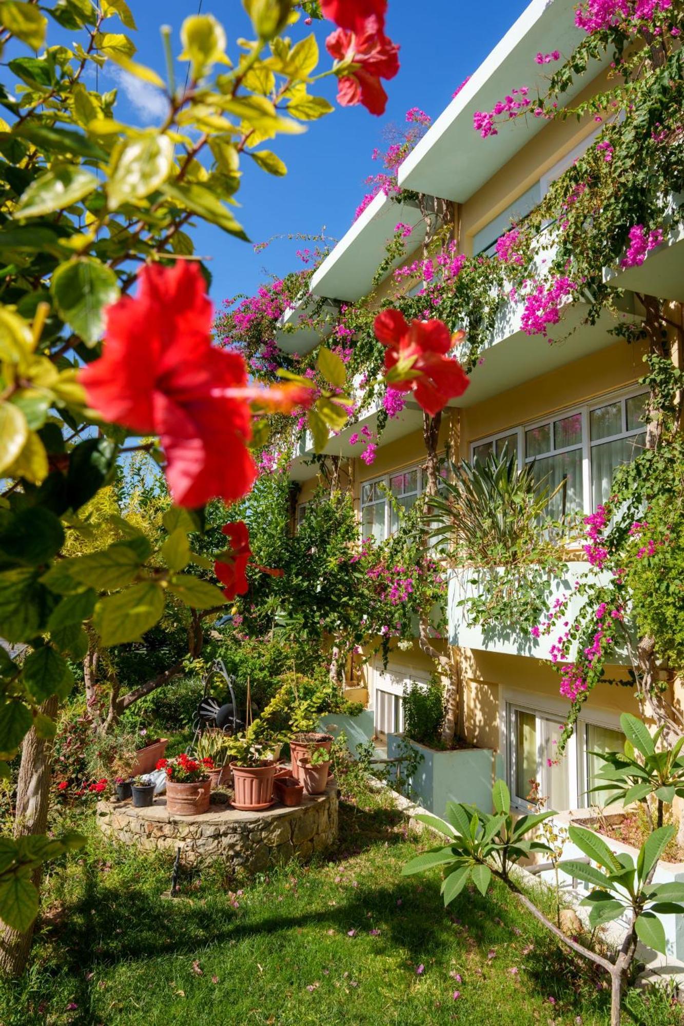 Dedalos Beach Hotel Сфакаки Экстерьер фото