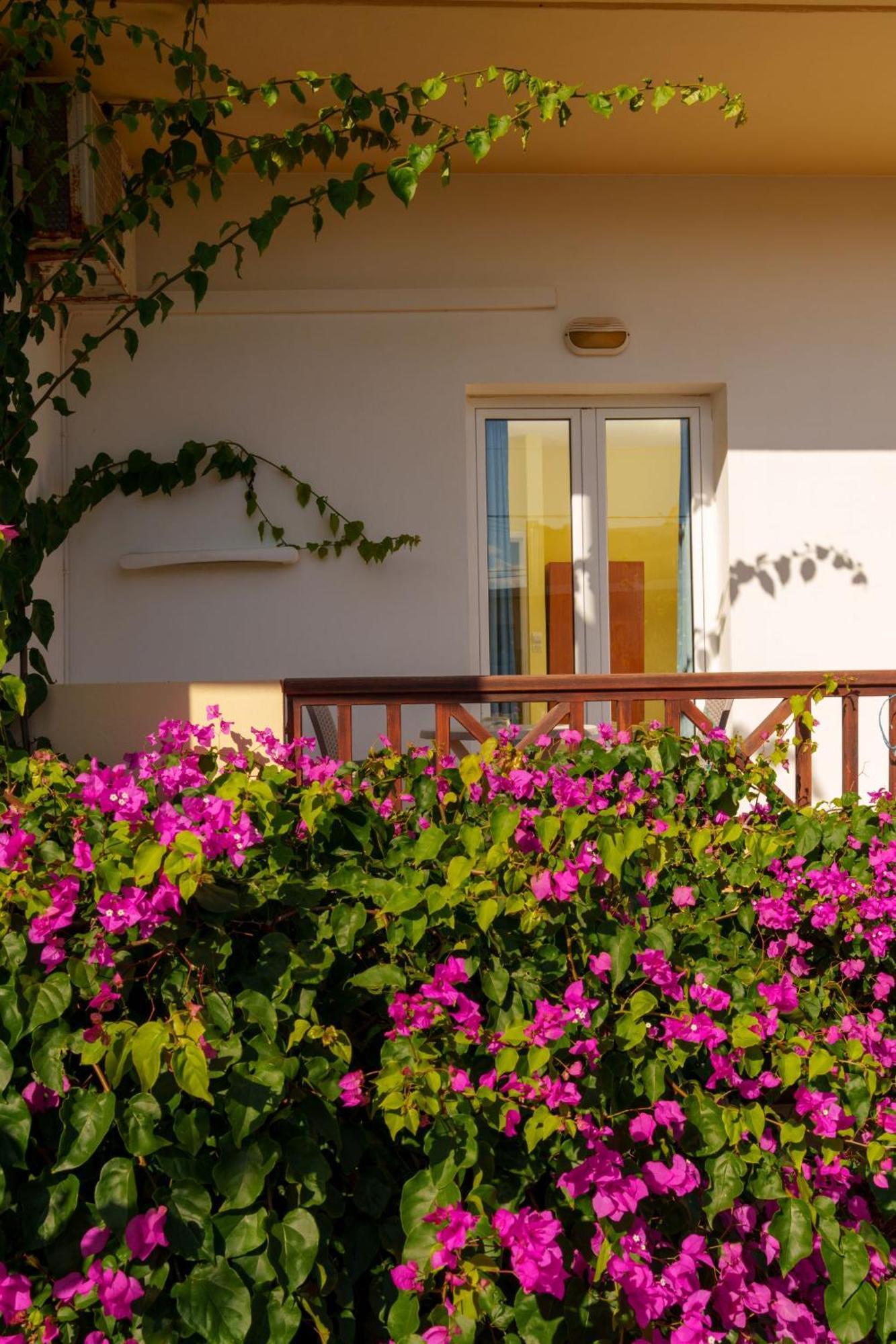 Dedalos Beach Hotel Сфакаки Экстерьер фото